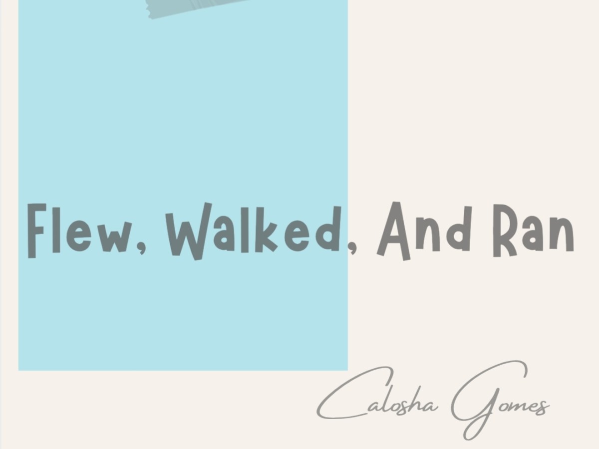 Flew, Walked, And&nbsp;Ran