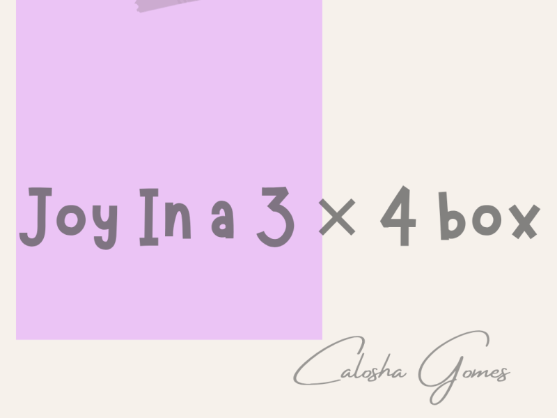 Joy In a 3 × 4&nbsp;box